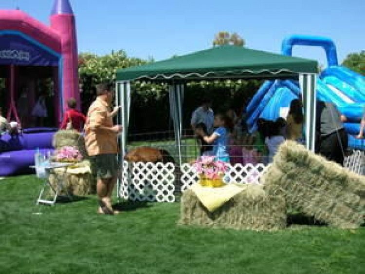 Backyard party with tent, hay bales and petting zoo